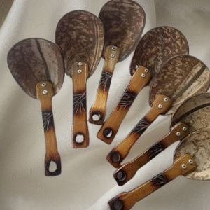 Spoon1